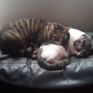 Meet your Posher, Nora